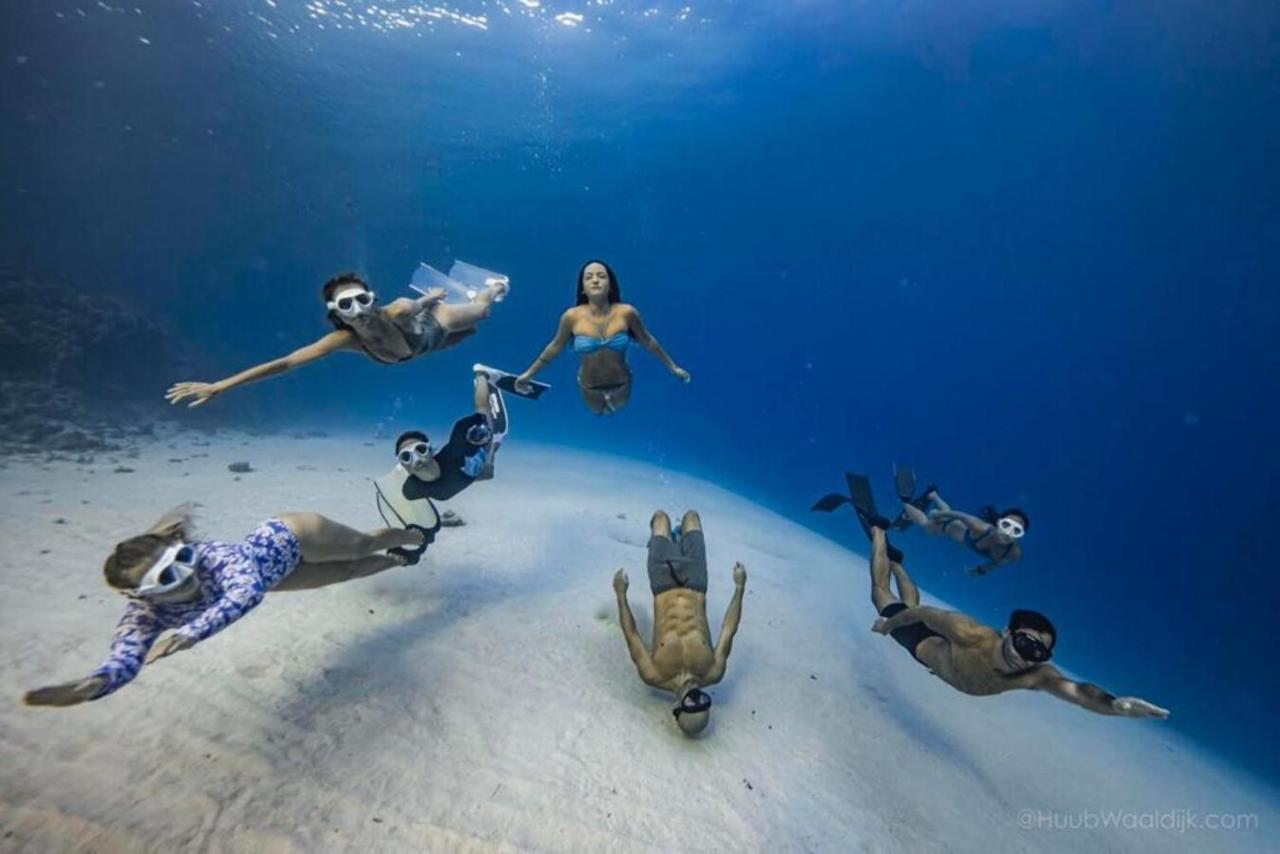 涛岛 Blue Chitta Yoga & Freediving旅舍 外观 照片